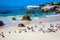 The colony of black- white African penguins