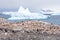 Colony of breeding Gentoo penguins on Cuverville Island and icebergs in Errera Channel, Western Antarctic Peninsula, Antarctica