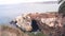 Colony of brown pelican, pelecanus flock, birds nesting, California coast, USA.