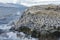 Colony of King Cormorants and Sea Lions on Ilha dos Passaros located on the Beagle Channel, Tierra Del Fuego