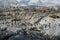 Colony of King Cormorants and Sea Lions on Ilha dos Passaros located on the Beagle Channel, Tierra Del Fuego, Argentina