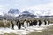 A colony of king penguins on Salisbury Plain on South Georgia