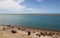 Colony of Magellanic penguins on the Patagonian coast.