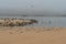 Colony of seabirds on the beach in foggy day, least tern, seagulls, and pelicans