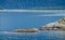 Colony of Steller sea lions bask in the sun