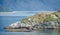 Colony of Steller sea lions bask in the sun