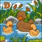 Color alphabet for children: letter D (duck)