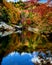 Color autumn reflections Emory River nature art