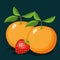 Color background of pair of oranges and one strawberry fruits