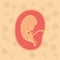 Color background pattern pregnancy icons with fetus human growth in placenta