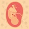 Color background pattern pregnancy icons with fetus human growth in placenta ninth week