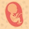 Color background pattern pregnancy icons with fetus human growth in placenta semestrer