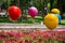 Color baloons and flowers in a park
