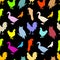 Color birds silhouettes seamless pattern