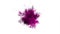 Color Burst colorful pink smoke powder explosion fluid ink particles alpha matte