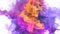 Color Burst - colorful purple yellow smoke explosion fluid particles alpha matte