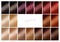 Color chart for hair dye. Tints. Hair color palette with a range