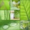 Color concept: green collage with plants and objects