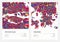 Color detailed road map, urban street plan city Stockholm and Helsinki with colorful neighborhoods and districts, Travel vector