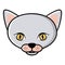 color face cat icon