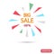 Color flash with inscription big sale vector illustration