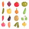 Color flat vegetables icons set