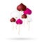 Color helium balloons heart shape for love and valentine