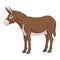 Color illustration with brown donkey, mule. Isolated vector object.