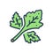 Color illustration icon for Coriander, herb and leaf