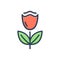 Color illustration icon for Macro, tulip and flower