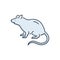 Color illustration icon for Rat, mouse and beast