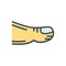 Color illustration icon for Toe, anatomy and barefoot