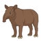 Color illustration of a plain tapir. Isolated vector object.