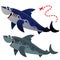 Color image of big cartoon sharks on white background. Marine life. Vector illustration set for kids