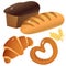 Color image of bread with wheat loaf, puff bun and bagel with poppy on white background. Baked goods. Vector illustration