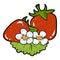 Color image, cartoon berry, Strawberry