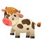 Color image of cartoon calf or kid of cow on white background. Farm animals. Vector illustration for kids
