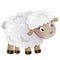 Color image of cartoon little sheep on white background. Farm animals. Vector illustration for kids