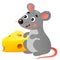 Color image of cartoon mouse with cheese on white background. Vector illustration for kids
