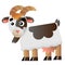 Color image of cartoon nanny goat on white background. Farm animals. Vector illustration for kids