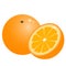 Color image of cartoon oranges on white background. Fruits. Vector illustration