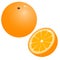 Color image of cartoon oranges on white background. Fruits. Vector illustration