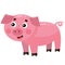 Color image of cartoon pig or swine on white background. Farm animals. Vector illustration for kids