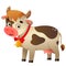 Color image of cartoon spotted cow with bell on white background. Farm animals. Vector illustration for kids