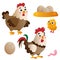 Color images of cartoon chicken or hen with rooster, chick and eggs on white background. Farm animals. Vector illustration set for