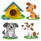 Color images of cartoon dogs on white background. Pets. Vector illustration set for kids