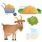 Color images of cartoon nanny goat with milk, cabbage and hay on white background. Farm animals. Vector illustration set for kids