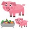 Color images of cartoon pig with piggy on white background. Farm animals. Vector illustration set for kids