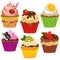 Color images of holiday cupcakes or muffins on white background. Pastry and bakery. Vector illustration set for kids