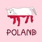 Color Imitation of Poland Flag with European Bison, National Animal